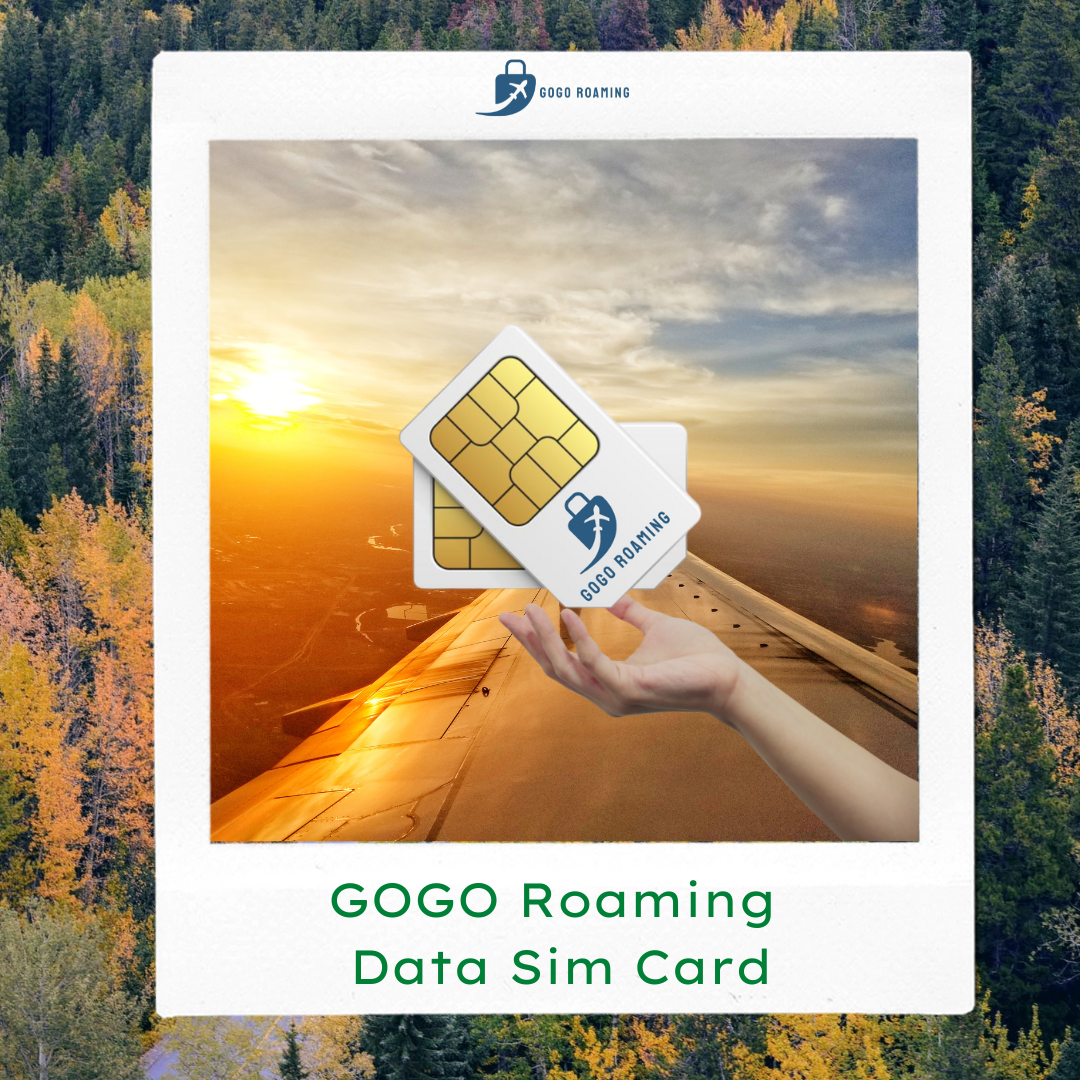 Multiple Sim Card (1)